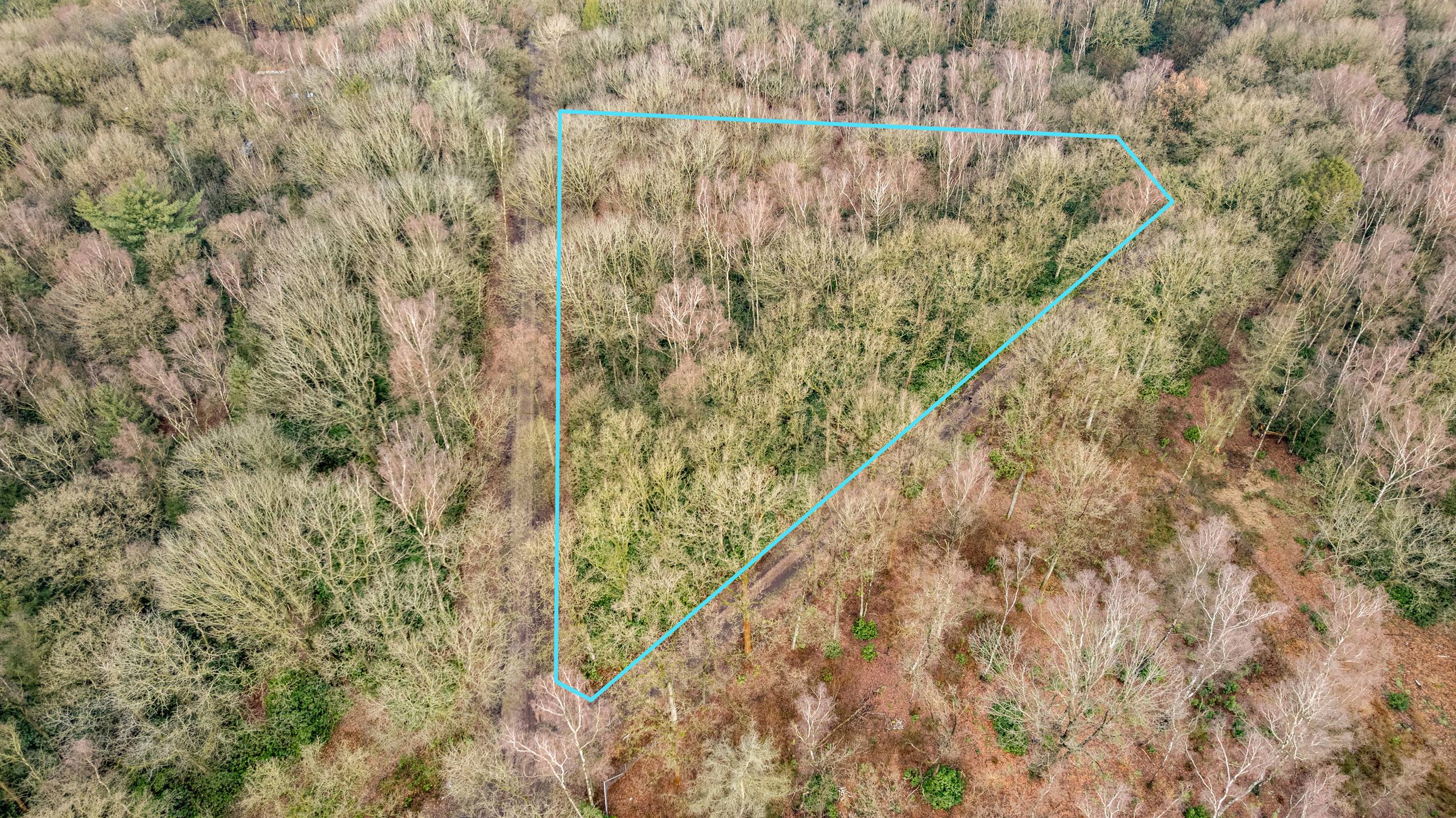 Terrain à vendre à Wuustwezel - photo 3