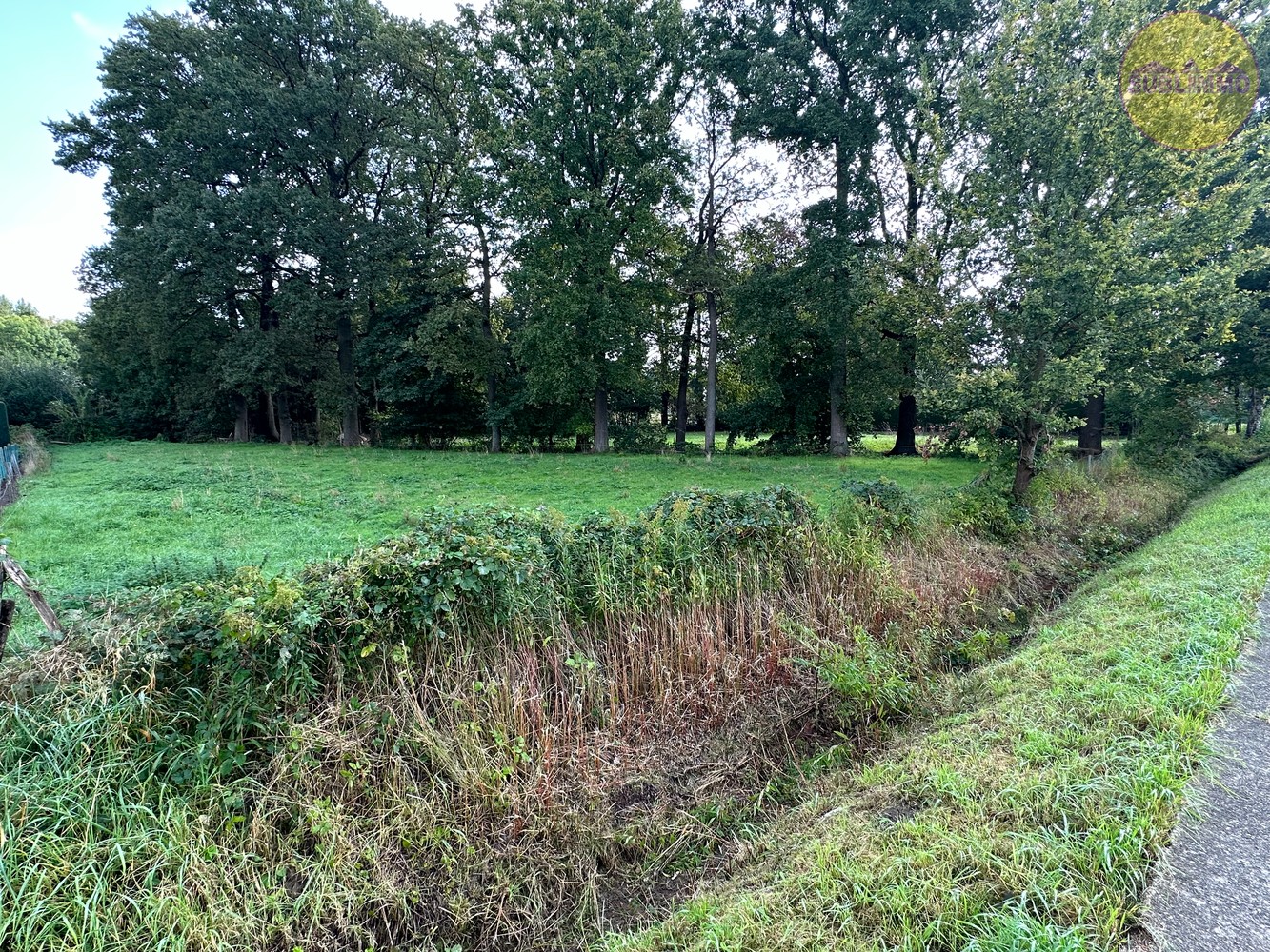 Projectgrond 64a 56ca - Geelsebaan - Laakdal - foto 5