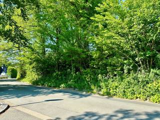 Mooie BOUWGROND voor VILLA, pal in het KLUISBOS! UNIEKE KANS, pal in het KLUISBOS!