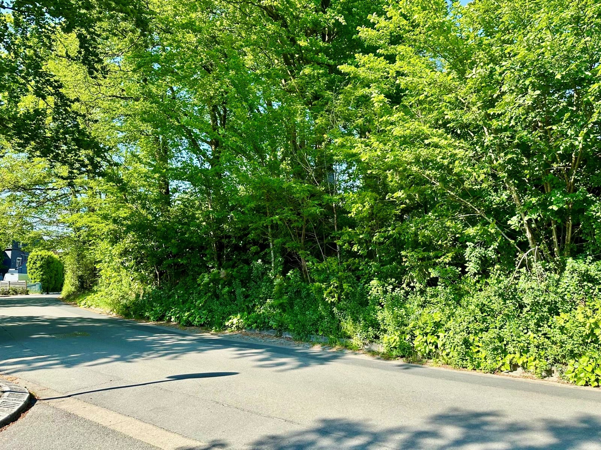 Mooie BOUWGROND voor VILLA, pal in het KLUISBOS! - foto 3