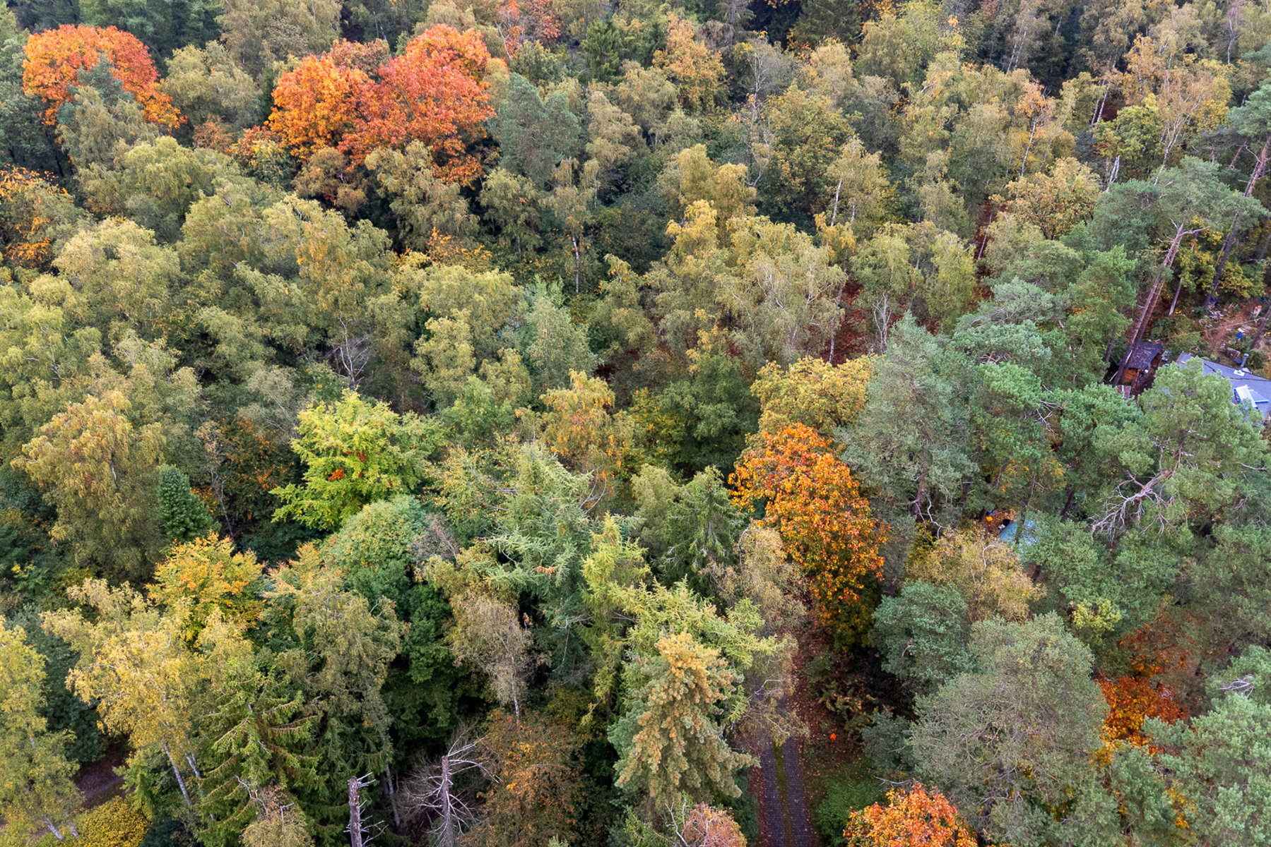 Land for sale in Brasschaat - photo 5