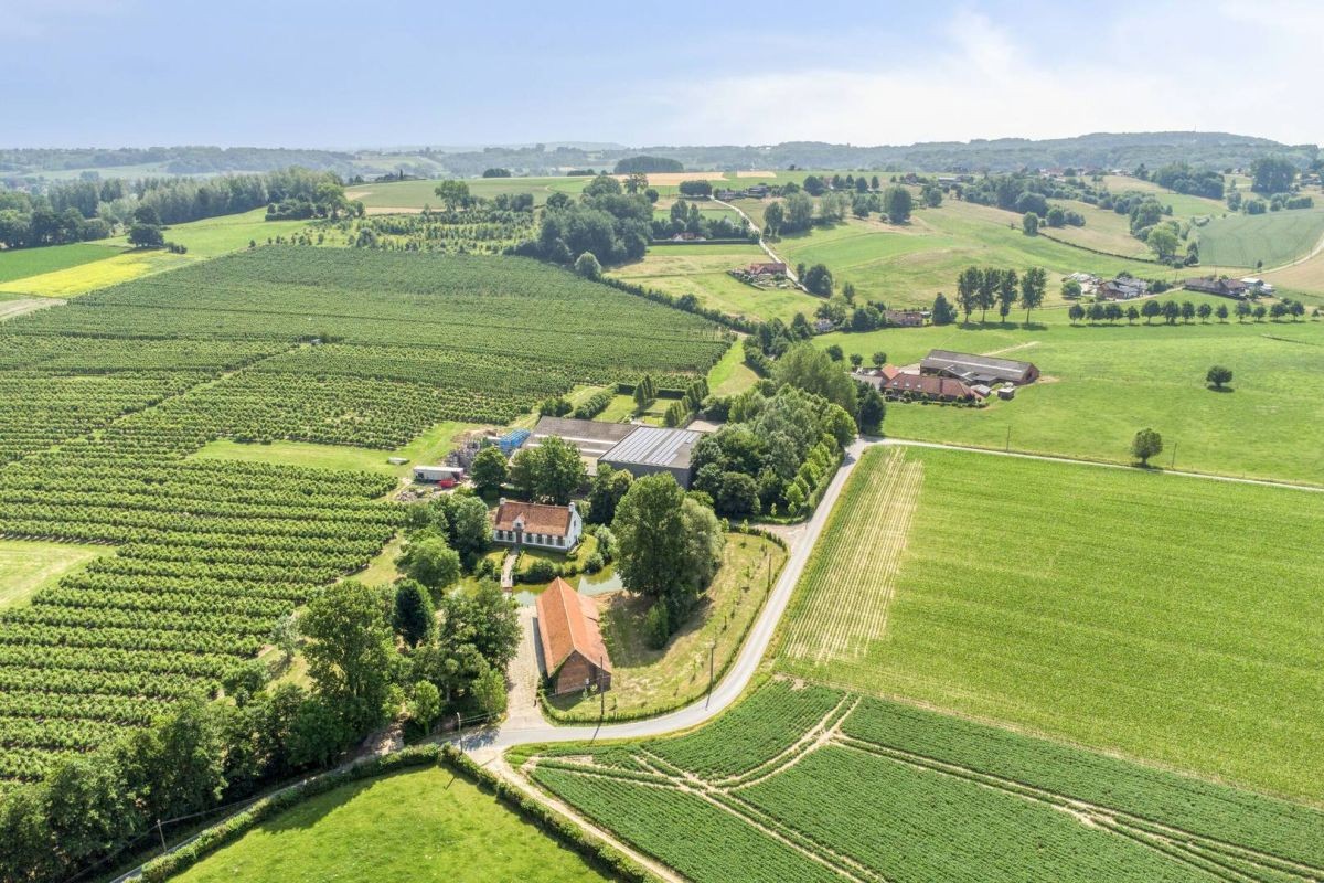 Fruitbedrijf met 2 woningen op circa 18 ha te koop te Kluisbergen - foto 1