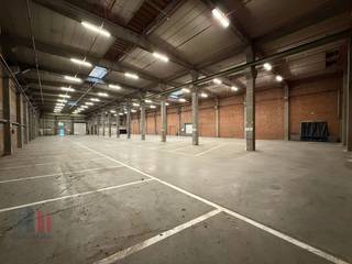 Bâtiment industriel fantastiquement situé d'une superficie de 6.543 m² à louer le long et avec visibilité de l'E17 à Saint-Nicolas, à peine 2 km de la sortie 15 Saint-Nicolas centre. L'entrepôt avec une hauteur libre entre 5 m (sous poutre) et 8 m est équipé de 1 quai de chargement, 1 porte sectionnelle, un sol en polybéton et des panneaux solaires. Disponible à partir du 01/05/2024. Possibilité de bail à court terme. L'entrepôt fait partie d'un site plus grand avec un espace extérieur très spacieux ! Contactez PANORAMA pour plus d'informations ou pour une visite sans engagement 09 225 09 09.