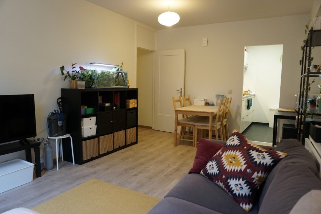 Gezellig appartement met kelderberging in hartje stad - foto 3