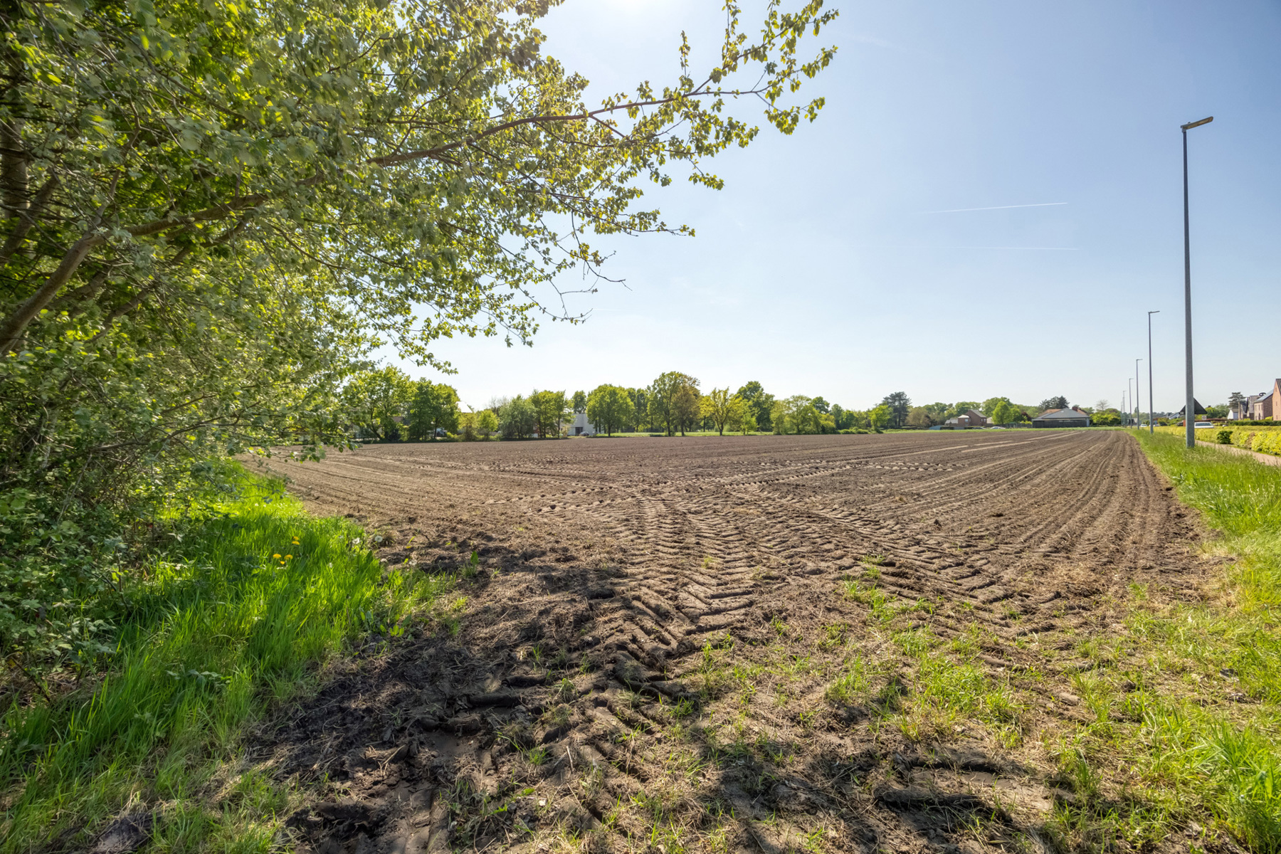 Uitgestrekte landbouwgrond van bijna 3 hectare. - foto 5