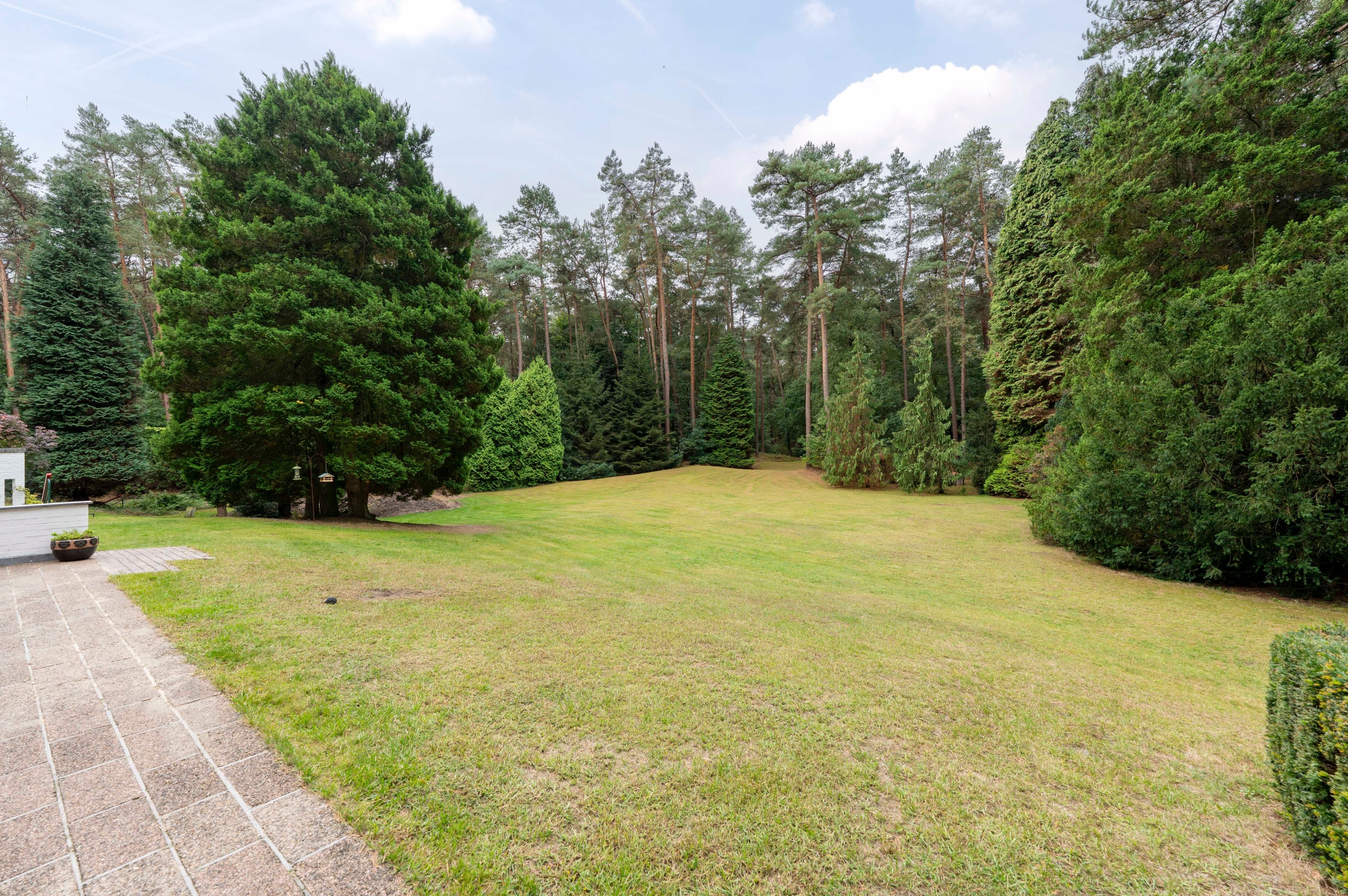 Architecturale sixtieswoning in volledige privacy en uniek natuurlandschap! - foto 4