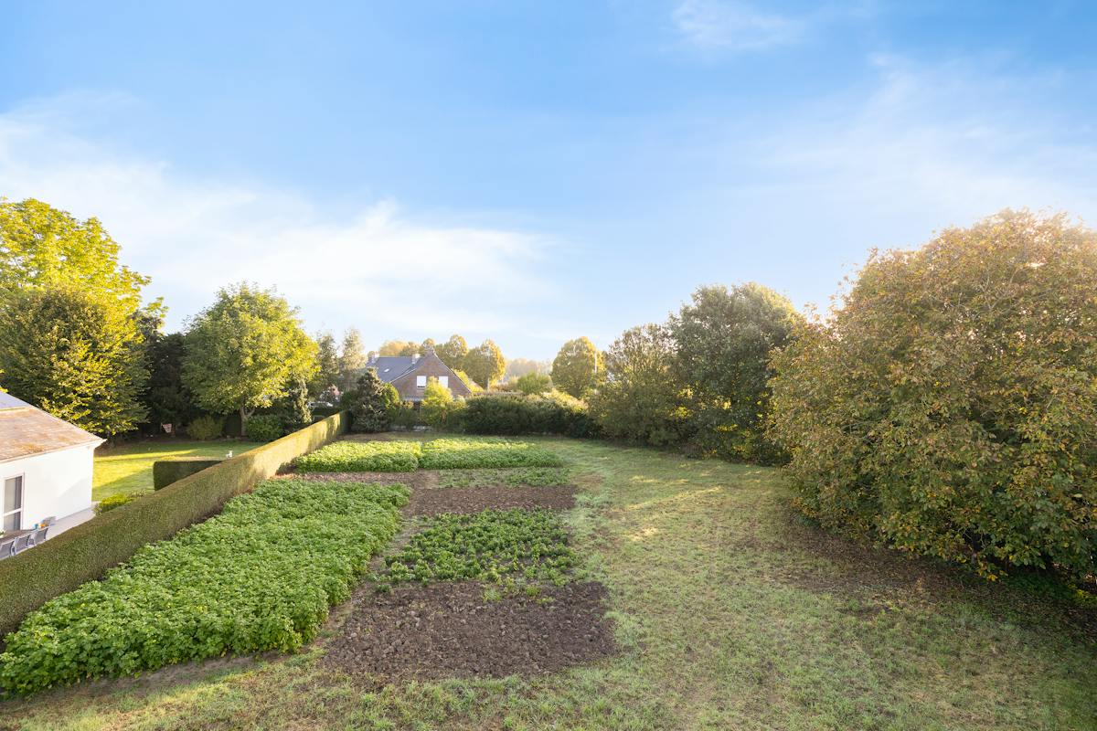 Land for open buildings for sale in Heule! - photo 4