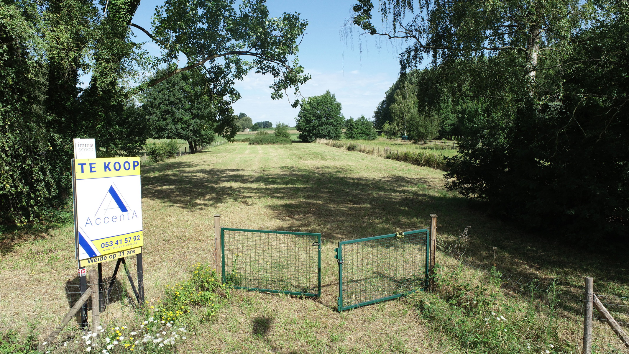 Vlot bereikbare omheinde weide - foto 1