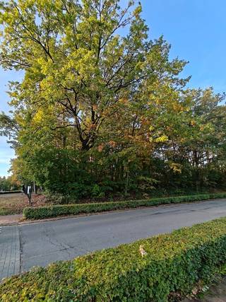 Droomt u ervan om uw eigen woning te bouwen op een ruime bouwgrond, op een interessante locatie vlak bij het centrum van Houthalen? Dan is deze prachtige bouwgrond op de Herebaan West in Houthalen-Helchteren misschien wel precies wat u zoekt!<br /><br />📐 Een uitzonderlijk ruim perceel met interessante bouwmogelijkheden<br />Dankzij de royale oppervlakte beschikt u over heel wat mogelijkheden om uw toekomstige woning vorm te geven. Of u nu droomt van een moderne architecturale woning, een tijdloze gezinswoning met veel leefruimte of een stijlvolle woning met een ruime tuin: op deze locatie krijgt u de kans om uw eigen woonproject uit te werken. De standaard bouwvoorschriften zijn van toepassing, met een maximale bouwdiepte van 17 meter op het gelijkvloers en 12 meter op de verdieping. Zo kunt u nadenken over een praktische indeling, ruime leefruimtes en een woning die perfect past bij uw gezin en uw toekomstplannen. 🏠🌳 <br /><br />📍 Toplocatie vlak bij het centrum van Houthalen<br />Niet alleen de perceelsgrootte maakt deze bouwgrond bijzonder interessant, ook de ligging is een grote troef. De grond bevindt zich op de Herebaan West, in de nabijheid van het centrum van Houthalen-Helchteren. Hierdoor geniet u van een praktische woonomgeving met voorzieningen en winkels binnen handbereik. 🛍️ Bovendien ligt het perceel naast het Inspirocollege, een middelbare school, wat de locatie extra herkenbaar maakt voor wie de omgeving kent. Ook voor gezinnen die graag in de buurt van voorzieningen wonen, kan deze ligging bijzonder aantrekkelijk zijn. 🎒📚<br /><br />🌿 Ruimte, comfort en uw eigen stukje groen<br />Met maar liefst 2.590 m² grondoppervlakte biedt dit perceel veel meer dan alleen plaats voor een woning. U kunt ook dromen van een grote tuin, een gezellig terras, groene borders of een aangename buitenruimte waar u in alle rust kunt genieten van zonnige dagen en lange zomeravonden. ☀️🌱<br /><br />Stedenbouwkundige info:<br />woongebieden – geen bouwvergunning – geen rechterlijke herstelmaatregel of bestuurlijke maatregel opgelegd – geen voorkooprecht - geen verkavelingsvergunning. <br /><br />O-peil: niet overstromingsgevoelig<br /><br />P-score: A