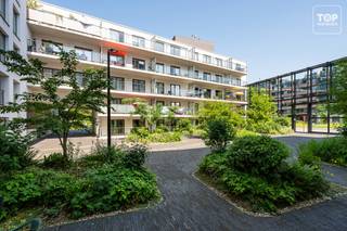 Deze serviceflat gelegen in de residentie Dunant Gardens heeft een fantastische ligging. Deze is verhuurd voor onbepaalde duur wat een gegarandeerd jaarlijks rendement geeft. Een TOP investering met het oog op de toekomst. <br /><br />Betreft de opwaardering van de waarde van het appartement in de toekomst in combinatie met het maandelijks rendement zijn enkele parameters cruciaal : <br /><br />1) Qua ligging is deze strategisch zeer goed gelegen. Het centrum van Gent ligt vlakbij. Er zijn tal van supermarkten, winkels, bars en restaurants in de buurt. Zowel de Watersportbaan als het recreatiedomein de Blaarmeersen zijn vlakbij. Het zorgt ervoor dat dit een zeer gegeerde ligging is. Ook de verbinding met het openbaar vervoer is ideaal.<br />2) Er werd duurzaam gebouwd (EPC A)<br />3) De vraag naar serviceflats / assistentie woningen zijn enorm. De grote vraag icm beperkt aanbod zorgt altijd voor een economisch interessante investering. <br />4) De plaatselijke extra service en assistentie zijn een absolute meerwaarde<br />5) De opbrengst gaat mee met de indexatie.<br /><br />Het appartement zelf beschikt over een lichtrijke leefruimte met een open volledig geïnstalleerde keuken. De slaapkamer is zeer ruim wat het nodige comfort geeft. De badkamer heeft een ruime inloopdouche. Heel het gebouw is rolstoeltoegankelijk. <br />Het balkon / terras is 14m2 groot, zijn een absolute meerwaarde. Doordat het appartement zich op de 4de verdieping bevindt heb je een fantastisch uitzicht. Ideaal om even te genieten van de rust. <br />In de extra bergingsruimte is er een aansluiting voorzien voor de wasmachine en de droogkast. <br /><br />De gemeenschappelijke tuin en de gemeenschappelijke ruimtes beneden voor de bewoners zorgen voor gezelligheid en ontspanning.<br /><br />Het appartement heeft alles in huis om comfortabel in te vertoeven! Alleen maar extra voordelen en pluspunten!<br /><br />Momenteel brengt de permanente verhuur maandelijks 1000 EUR op. Een stabiele zorgeloze maandelijkse opbrengst.<br /><br />Deze opportuniteit is werkelijk een UNIEKE kans als investering. Een TOPPER voor de snelle beslisser. <br /><br />Interesse? Contacteer dan snel Topvastgoed op het nummer 0475 700 700 om deze investering te bespreken. Ook een bezoek ter plaatse is mogelijk.