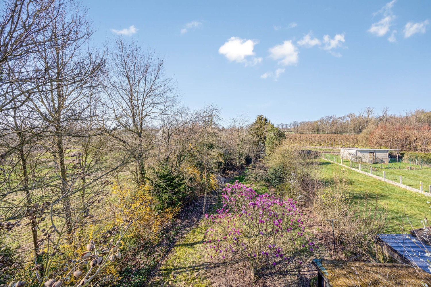 Huis te koop in Sint-Truiden met 3 slaapkamers - foto 3