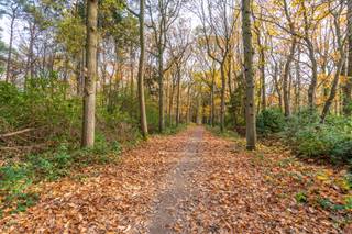 Droomt u van een eigen stukje natuur en de rust van een privébos? Grijp dan nu uw kans! Wij bieden een uitzonderlijk ruim perceel bosgrond te koop...