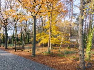 Langs de Sint-Jobsesteenweg in Brasschaat, in een omgeving die gekenmerkt wordt door statige villawijken, volwassen groen en residentiële...