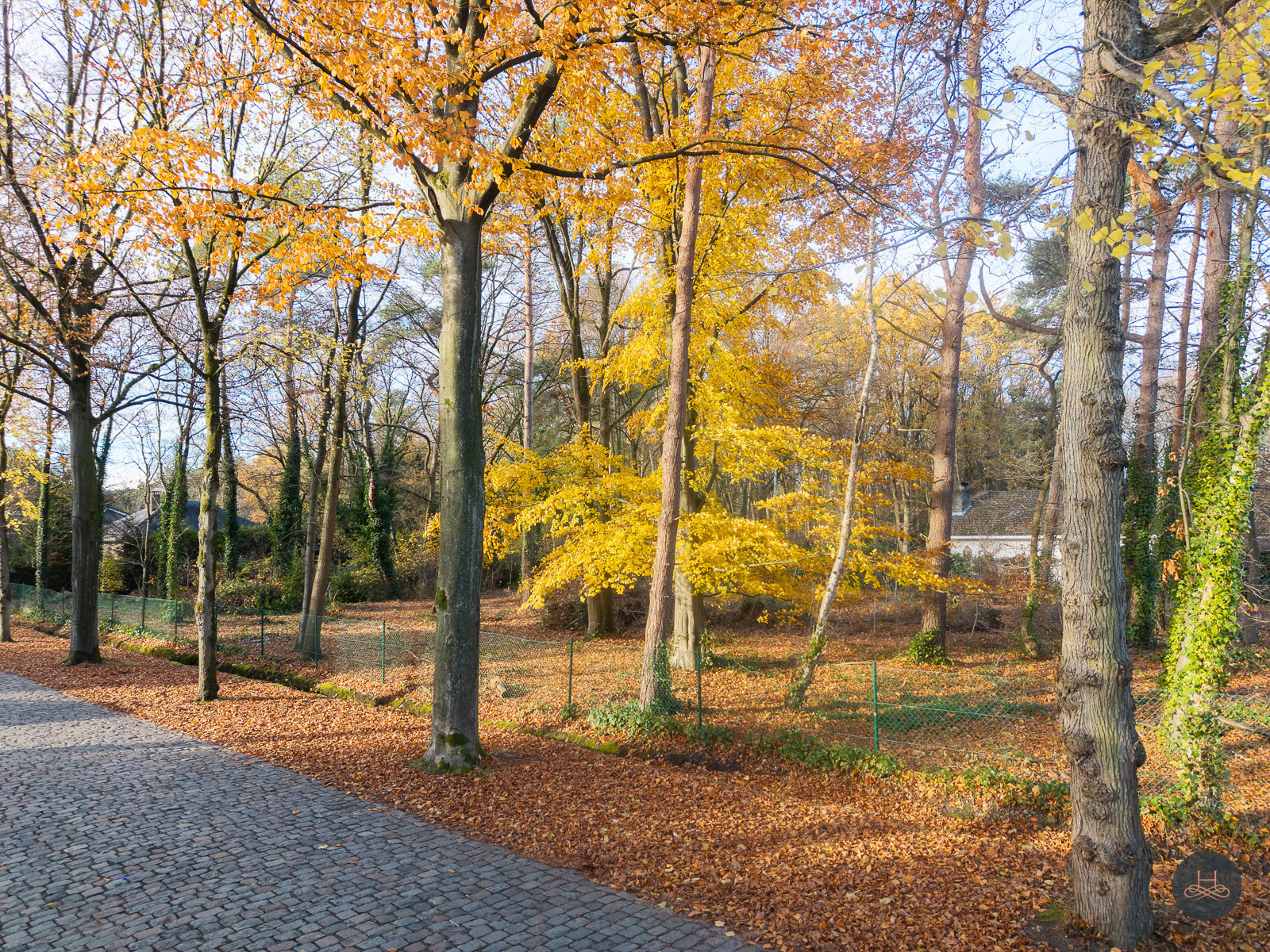 Uitzonderlijke bouwgrond voor open bebouwing in prestigieuze villawijk te Brasschaat - foto 3