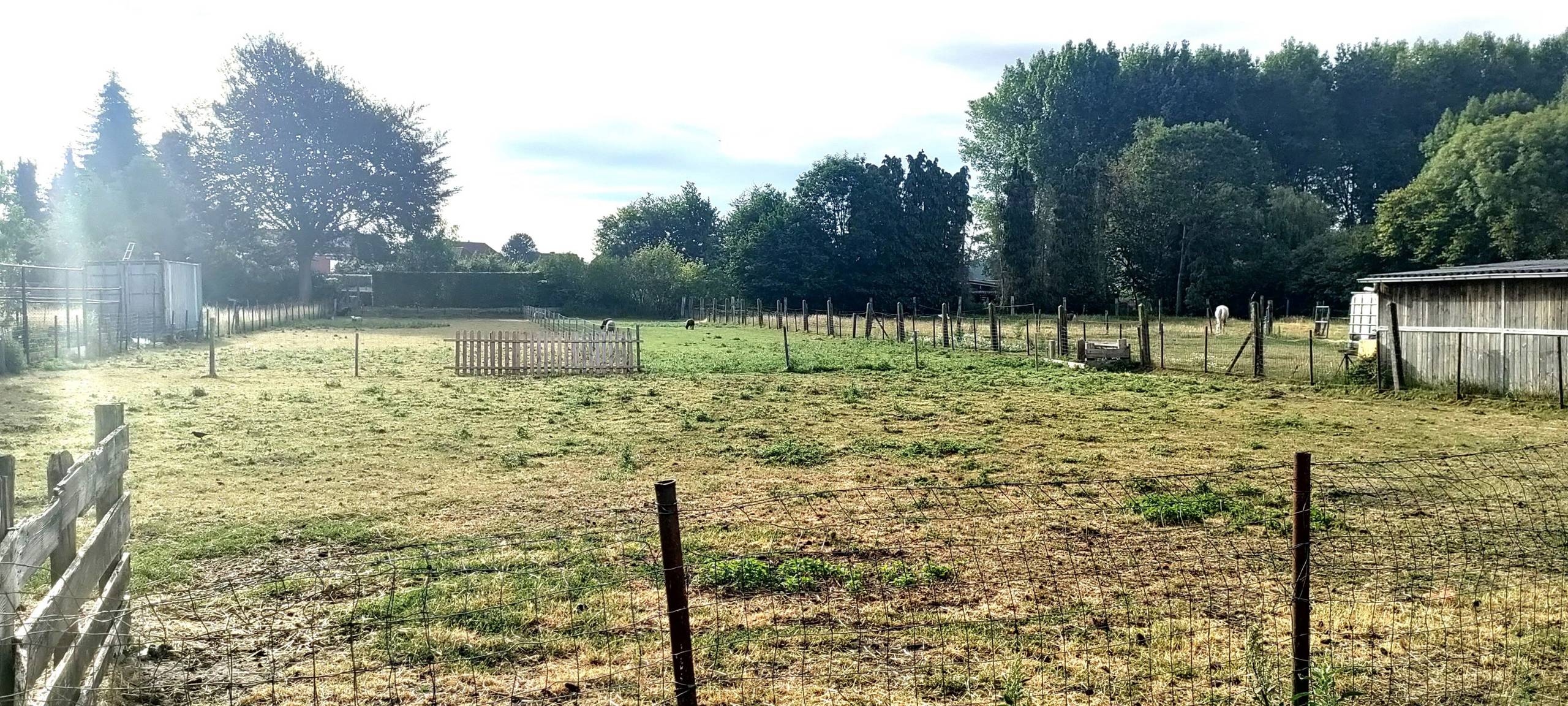 Land for sale in Ravels - photo 3