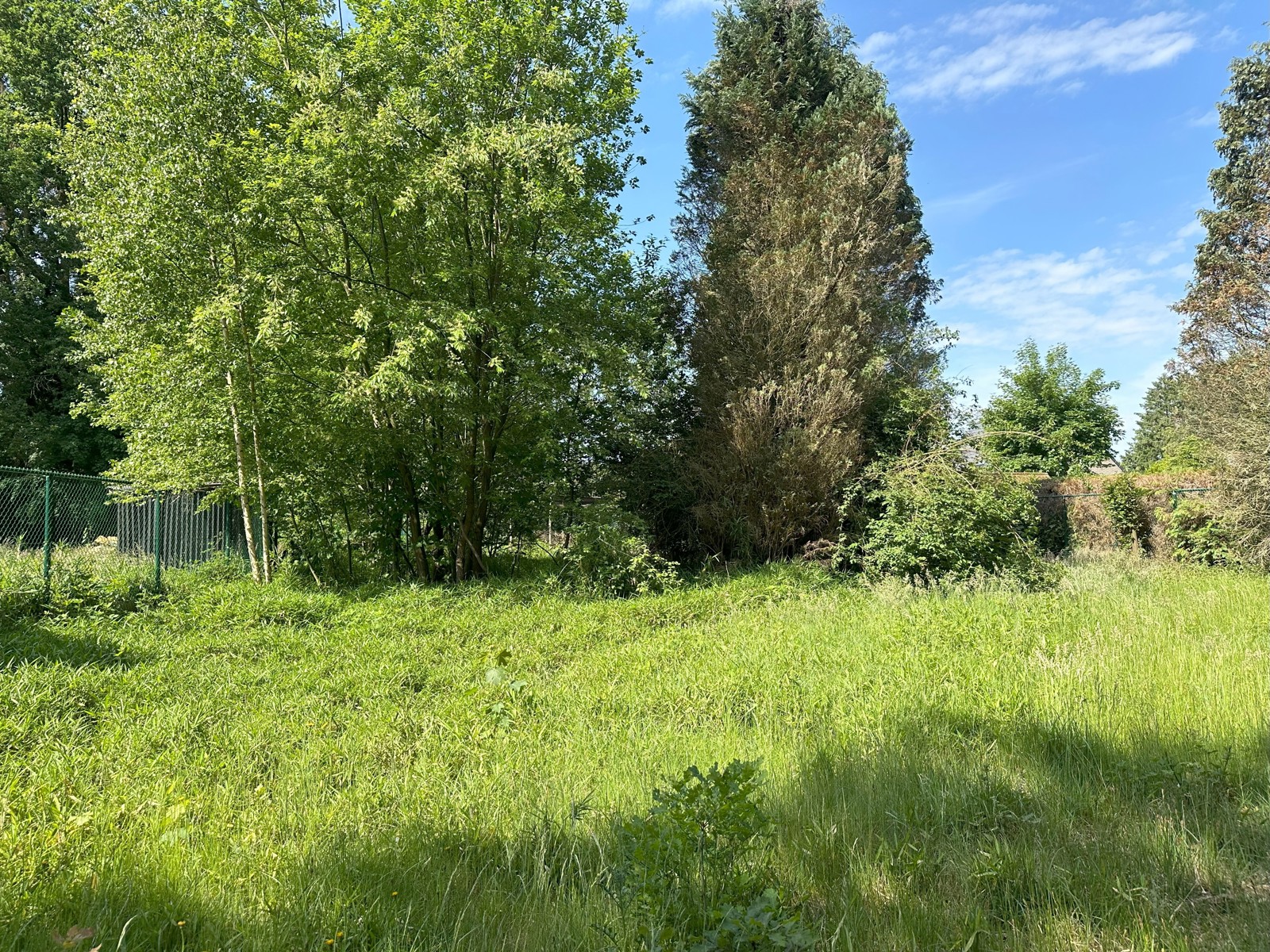 Wonen in het groen  - foto 5