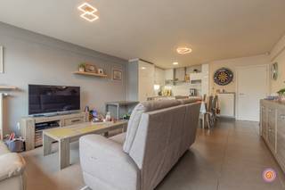 Vandaag nemen we je mee naar de rustige gemeente Bornem. De gemeente staat bekend voor zijn wondermooie fietsroutes doorheen de natuur en...