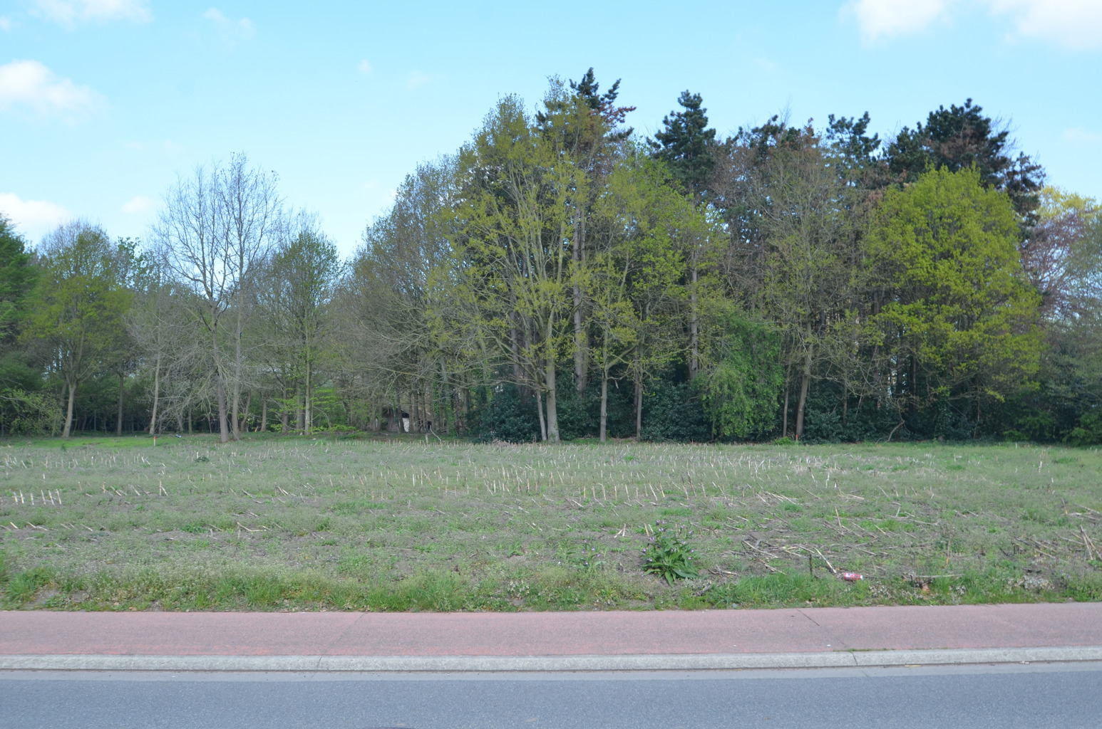 Nabij Staakteschool: landelijk gelegen bouwgrond - 2326 m2  - foto 5
