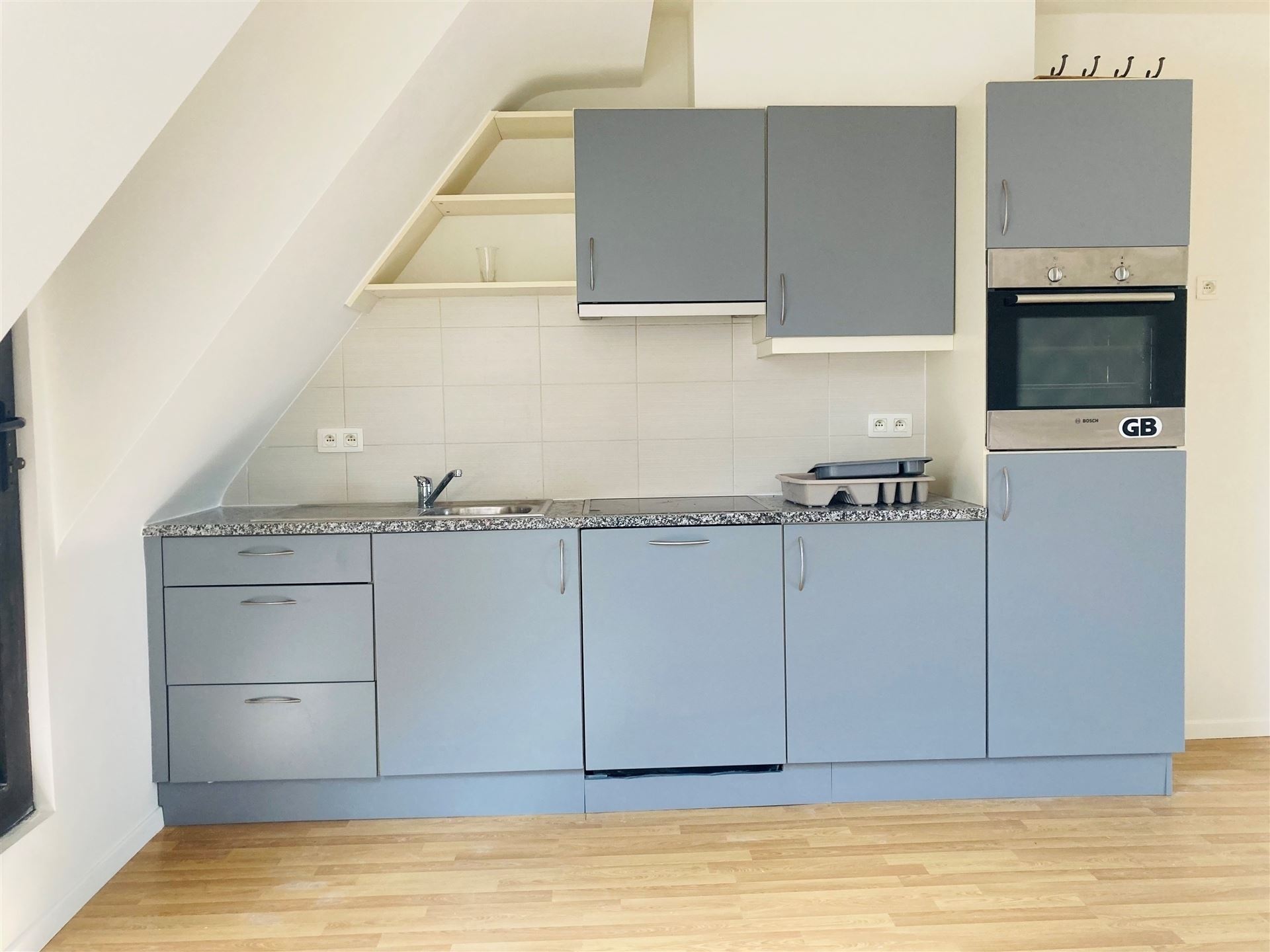 Bel appartement/duplex 1CH - Quartier Dailly - photo 3