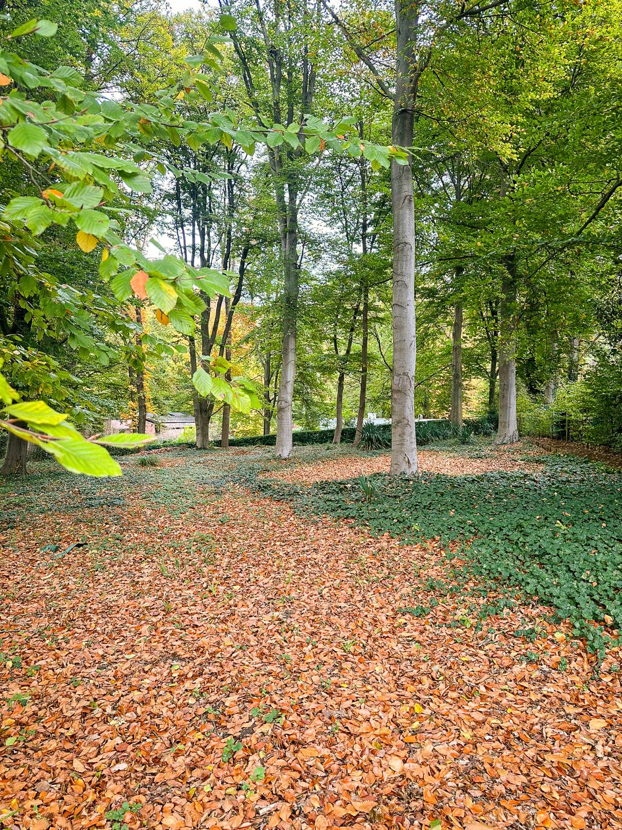 Prachtig perceel op unieke locatie! - foto 5