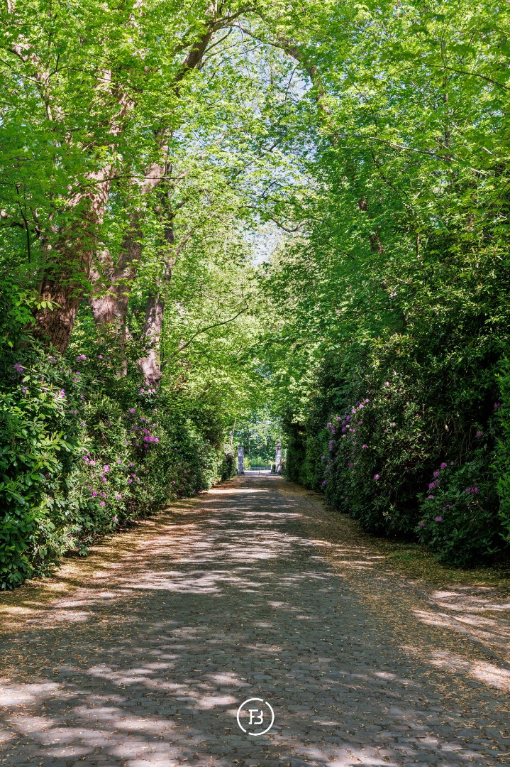 Hof van Lachenen - photo 3