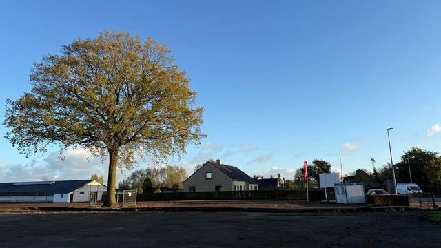 Project te koop in Oostkamp