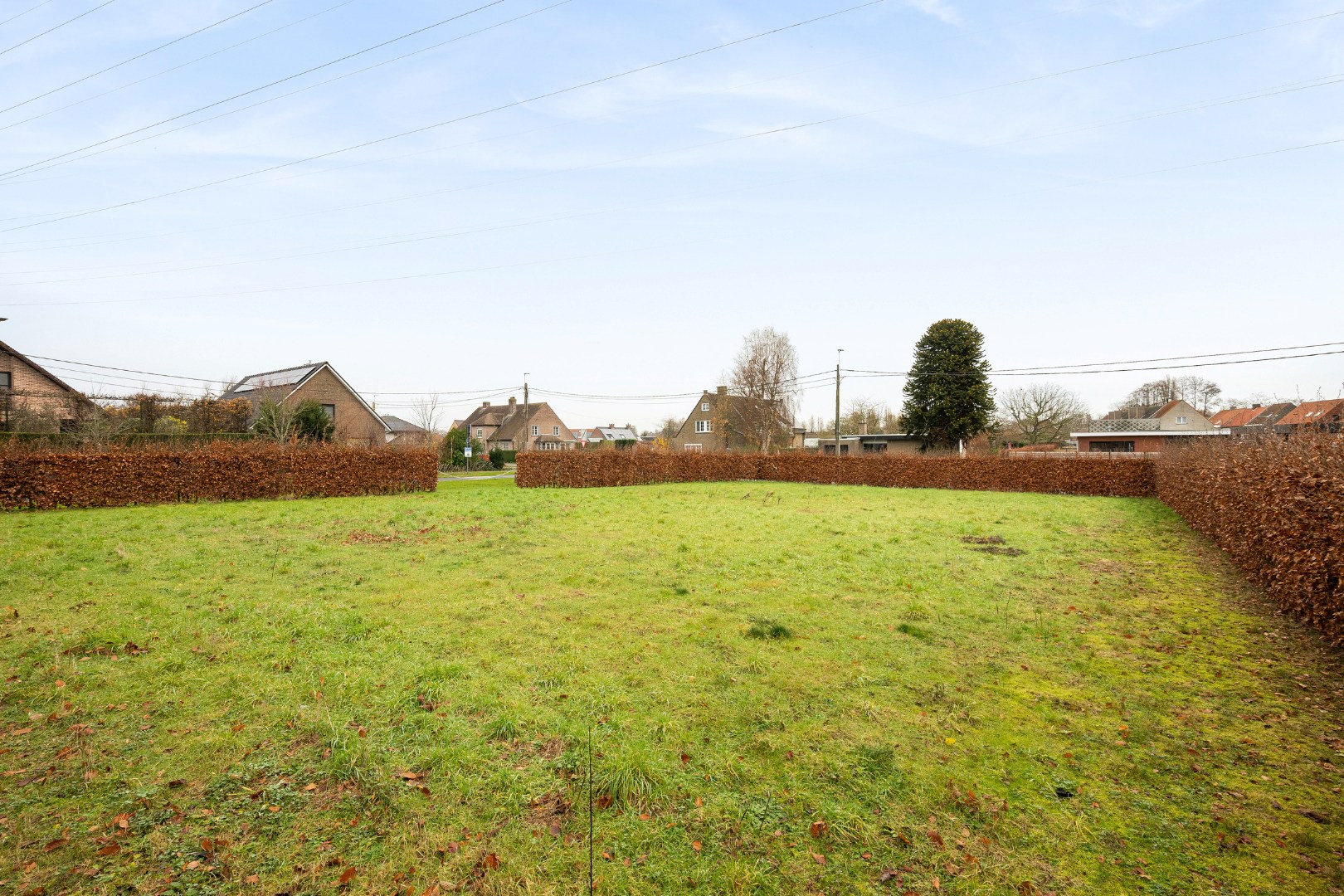 Bouwgrond (perceel: 973 m²) op een topligging in Roeselare - foto 2