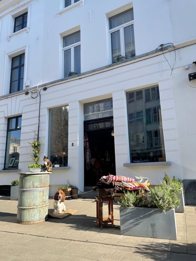 Zeer goed gelegen handelsgelijkvloers voor POP-UP. - foto 1