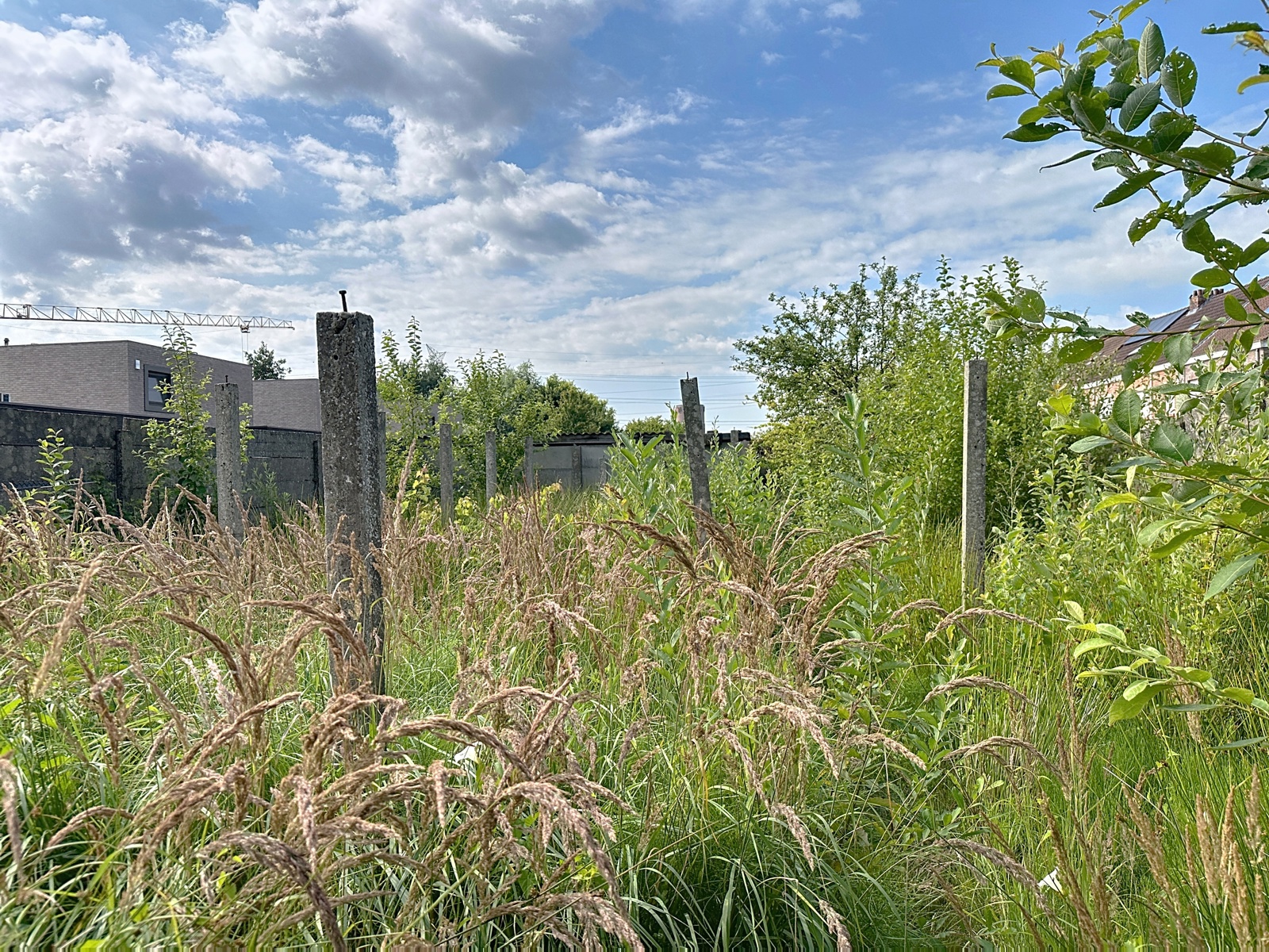 House for sale in Schelle with 4 bedrooms - photo 4