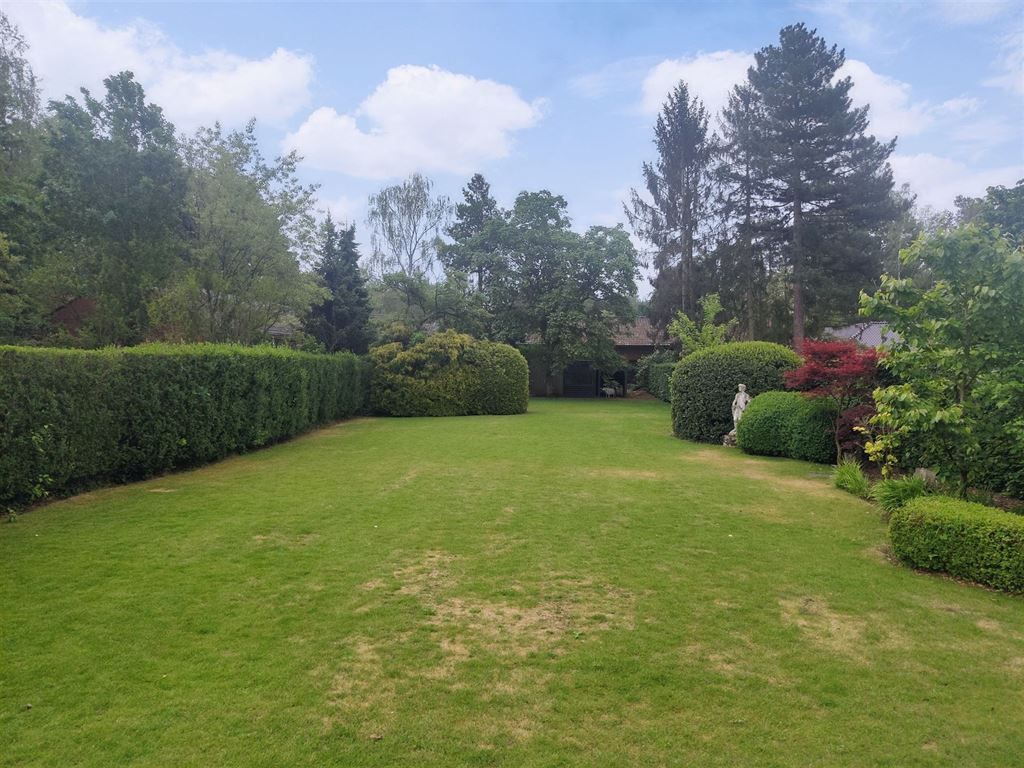 Charmant alles gelijkvloers landhuis "Heidebloempje" - foto 3