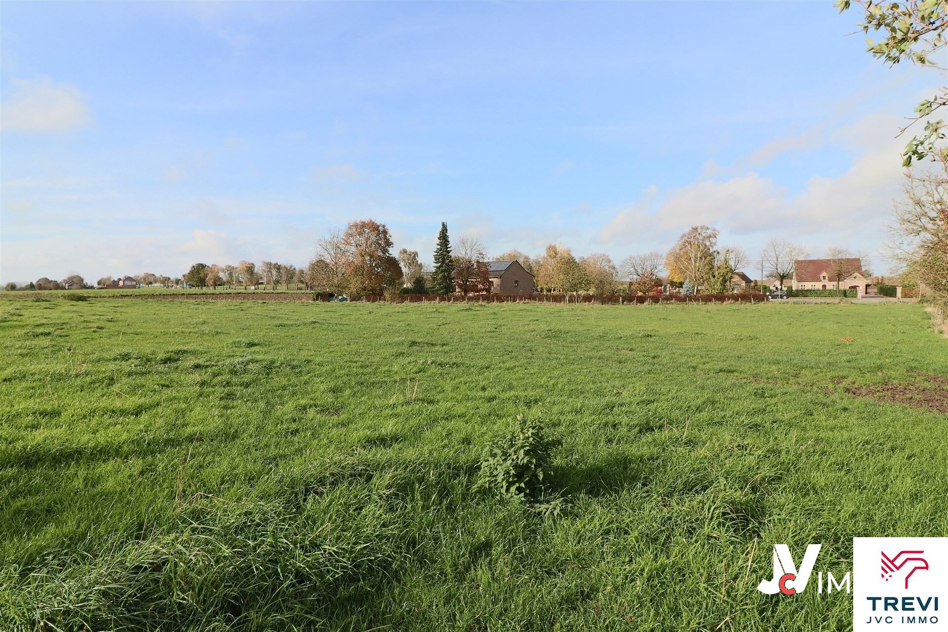 Grond te koop in Oreye - foto 3