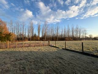 <span>CONTACT</span><br /><span>Jeroen Vandormael: jeroen@vastgoedvalkenborgh.be | 0498/05.76.72</span><br /><br />Welkom in de Kolmenstraat 69 te Stevoort, een gezinswoning met een degelijke basis, gelegen op een ruim perceel van 8are 5ca. Aan de achterzijde geniet de woning van een open zicht op de Bem en het aangrenzende natuurgebied, wat zorgt voor een aangename buitenbeleving en een duidelijke meerwaarde.<br /><br />De huidige staat van de woning laat toe om op eigen tempo renovaties en verbeteringen door te voeren. Dit maakt ze geschikt voor wie op zoek is naar een woning met mogelijkheden, waarbij bestaande ruimtes verder kunnen worden aangepast aan hedendaagse woonwensen en persoonlijke voorkeuren. De huidige indeling voorziet onder meer in drie slaapkamers, met bijkomend potentieel om het woonvolume verder te optimaliseren. Zo kan de zolderverdieping verder worden ingericht en kan — mits het bekomen van de gebruikelijke stedenbouwkundige toelatingen — worden bekeken hoe de leefruimtes beter kunnen worden afgestemd op het mooie uitzicht achteraan het perceel.<br /><br />Dankzij de diepte van het perceel ontstaat er achter de woning een duidelijke overgang naar de tuinzone, met een open en groen uitzicht dat in deze omgeving steeds minder vanzelfsprekend is. Dit biedt extra mogelijkheden voor wie belang hecht aan buitenruimte en een natuurlijke omgeving.<br /><br />De woning is gunstig gelegen met een vlotte verbinding naar omliggende gemeenten en steden. Het centrum van Stevoort bevindt zich op korte afstand en ook Hasselt, Alken, Herk-de-Stad en Nieuwerkerken zijn zeer vlot bereikbaar. In de nabije omgeving bevinden zich scholen, winkels, een supermarkt en horecazaken. Daarnaast staat Stevoort bekend om haar actieve verenigingsleven, met onder meer jeugdbewegingen zoals de KSJ en diverse sportverenigingen, wat bijdraagt aan een aangename leefomgeving voor gezinnen.<br /><br />Achteraan het perceel bevindt zich momenteel een bijgebouw, dat kan dienen als extra opslagruimte of multifunctionele ruimte, afhankelijk van de noden van de toekomstige bewoners.<br /><br />Deze woning vormt een solide vertrekpunt voor wie op zoek is naar een huis met ruimte en perspectief, waar vandaag reeds comfortabel kan worden gewoond en waar op termijn verdere aanpassingen mogelijk zijn.<br /><br />INDELING<br /><strong><span>Gelijkvloers</span></strong>:<br />Inkomhal, lichtrijke woon- en eetkamer, keuken, wasplaats, badkamer met douche en toilet, cv-ruimte, terras, ruim bijgebouw geschikt voor opslag, en tuin met open groen uitzicht.<br /><strong><span>Eerste verdieping</span></strong><strong><span>:</span></strong><br />Nachthal met toegang tot drie slaapkamers, een klein bureau en een apart toilet.<br /><strong><span>Kelder</span></strong>: Kleine, droge kelderruimte, geschikt voor opslag.<br />Zolder: Opslagruimte met potentieel voor bijkomende kamers.<br /><br />TROEVEN<br />- ruim perceel van 8are 05ca<br />- open zicht op aangrenzend natuurgebied<br />- drie slaapkamers<br />- mogelijkheid tot verdere afwerking van de zolder<br />- potentieel tot uitbreiding, mits bekomen van de nodige toelatingen<br />- bijgebouw met diverse gebruiksmogelijkheden (opslag, hobbyruimte)<br />- goede verbinding naar Hasselt, Alken, Herk-de-Stad en Nieuwerkerken<br />- nabij scholen, winkels en voorzieningen<br />- actief verenigingsleven en jeugdwerking in Stevoort<br />- interessante eigendom voor wie stap voor stap wil renoveren<br /><br />BEKNOPT<br />Bewoonbare opp: 147m²<br />Oppervlakte perceel: 8are 05ca<br />EPC: 907 kWh / (m² per jaar) – F Label<br />CV: stookolie<br />Jaar einde opbouw: 1960 <br />Vraagprijs: 269.000 euro<br /><br />Dit pand kan onderhevig zijn aan de renovatieverplichting die door de Vlaamse overheid wordt opgelegd voor residentiële gebouwen. Meer informatie via de website van het Vlaams Energie- en Klimaatagentschap via https://www.vlaanderen.be/een-woning-kopen/renovatieverplichting-voor-residentiele-gebouwen<br /><br />Meer info: <span>www.vastgoedvalkenborgh.be</span> <span>of via 0498/05.76.72</span><br /> 