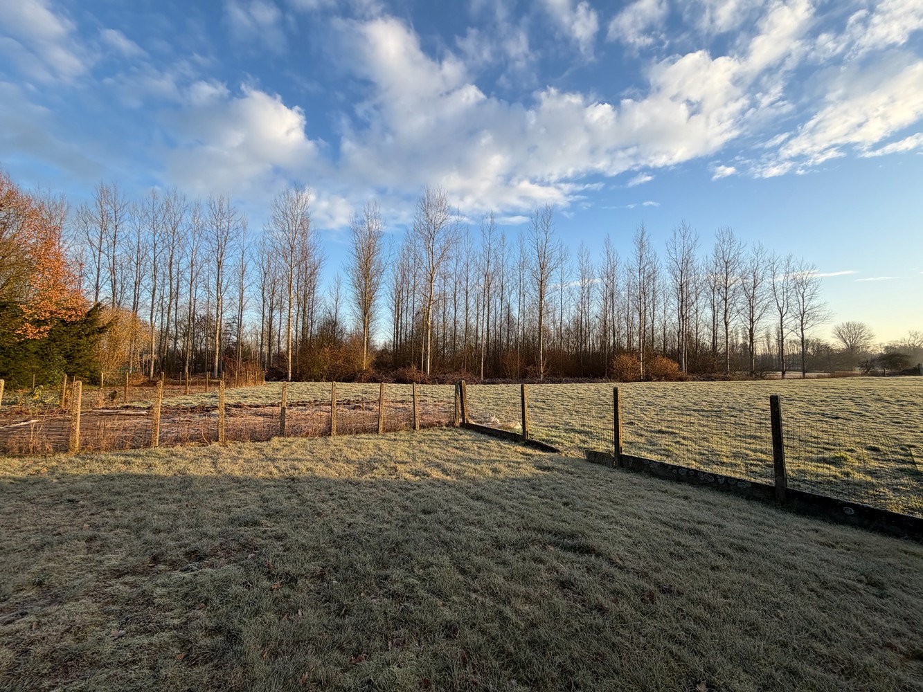 Woning met toekomstpotentieel en open zicht op natuurgebied. - foto 3