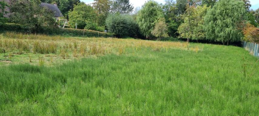 Terrain à vendre à Hoegaarden - photo 5