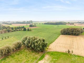Op een rustige en landelijke locatie in Otegem, nabij de hoek van de Scheldestraat en Tiegemstraat, bevindt zich deze mooie bouwgrond met een oppervlakte van 991 m².Dit ruime perceel biedt de ideale gelegenheid om uw droomwoning te realiseren in een aangename woonomgeving. De grond is geschikt voor het bouwen van een open bebouwing.Een belangrijke troef is dat er geen bouwverplichting geldt. U bepaalt dus zelf wanneer u uw bouwplannen wenst te realiseren.Extra interessant: het aangrenzende perceel van 1.169 m² kan eveneens worden aangekocht, waardoor een totale grondoppervlakte van 2.160 m² mogelijk is.Een mooie opportuniteit voor wie op zoek is naar ruimte, vrijheid en de mogelijkheid om een woning volledig naar eigen smaak te bouwen.Meer info: wim@immobeguin.beTe koop via Immo Beguin, uw vastgoedexpert sinds 2009, met kantoren in Ronse, Deinze, Waregem, Kortrijk, Nieuwpoort, Doornik en Lessen en Moeskroen.