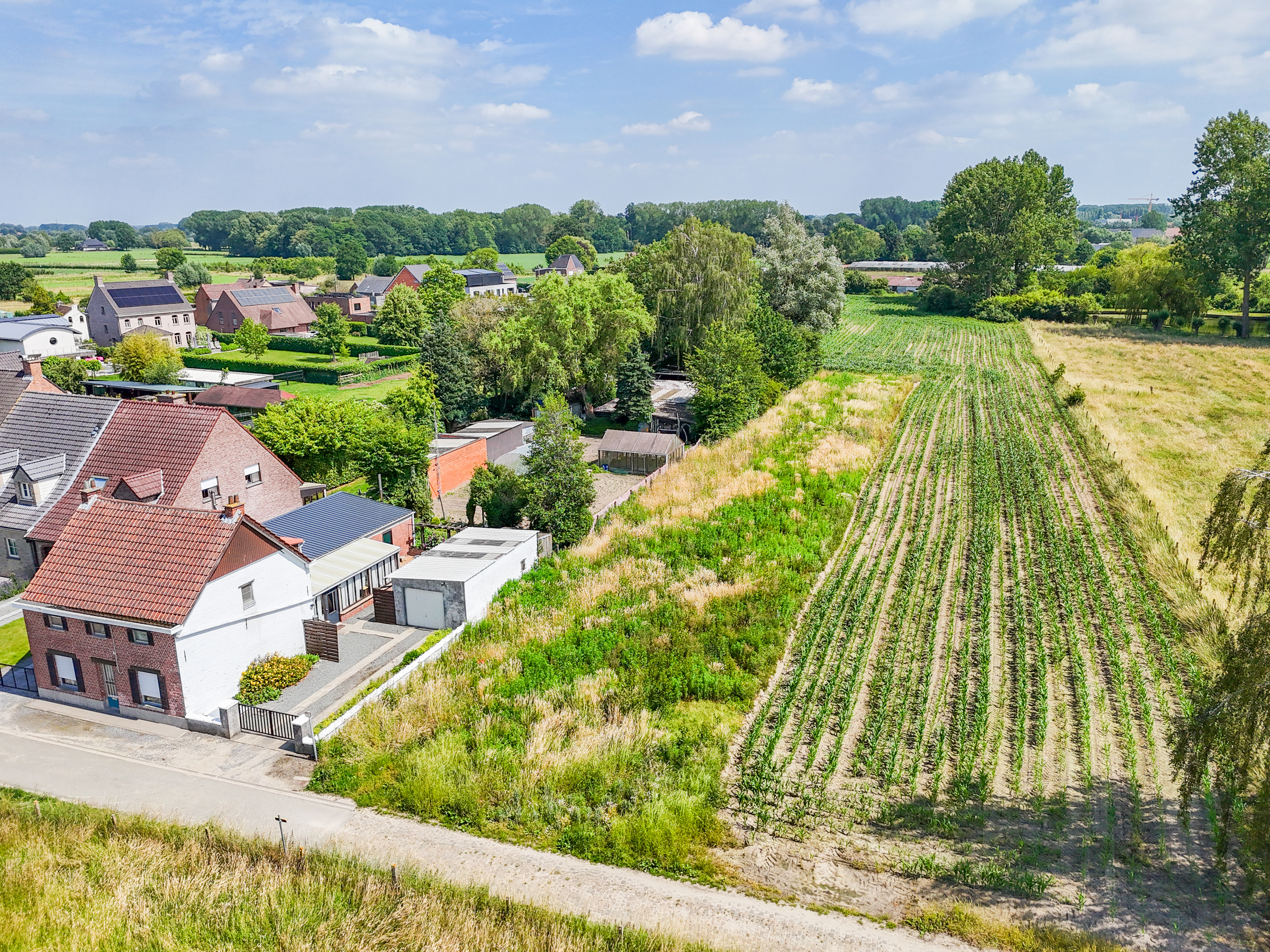 Land for sale in Dendermonde - photo 5