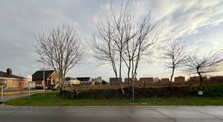 Deze prachtig gelegen bouwgrond van 8 are 17 ca voor open bebouwing bevindt zich op de hoek van de Vlasstraat en de Burgemeester Bovensstraat in Meeswijk. U geniet hier van een rustige en aangename woonomgeving, met winkels, scholen en eetgelegenheden op korte afstand.<br /><br />De gunstige ligging zorgt voor een vlotte verbinding naar omliggende gemeenten en belangrijke invalswegen. Daarnaast bevindt het perceel zich op korte afstand van het veerpunt over de Maas, waardoor u vlot de verbinding maakt met Nederland.<br /><br /><strong>Beschrijving perceel:</strong><br />- Geschikt voor open bebouwing<br />- LOT 3 op het verkavelingsplan<br />- Oppervlakte: 817 m²<br />- Bestemming: woongebied met landelijk karakter<br /><br />Voor meer informatie en de bouwvoorschriften neem contact op via gilles@haerdimmo.be of 0492/86 61 15.<br /><br />Wenst u een gratis schatting van uw eigendom? Contacteer mij vrijblijvend voor een afspraak!