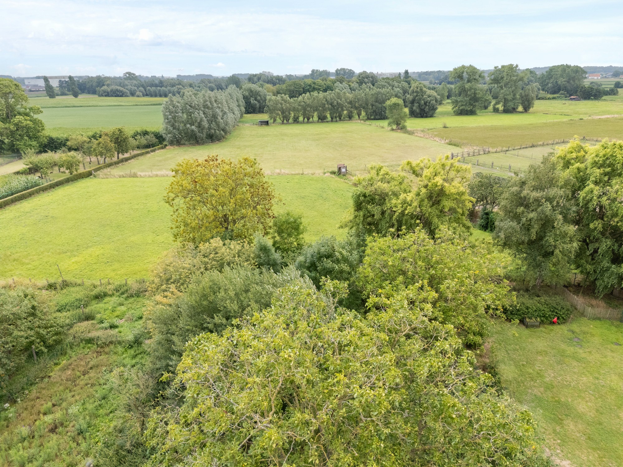 Maison à vendre à Knesselare avec 4 chambres - photo 3