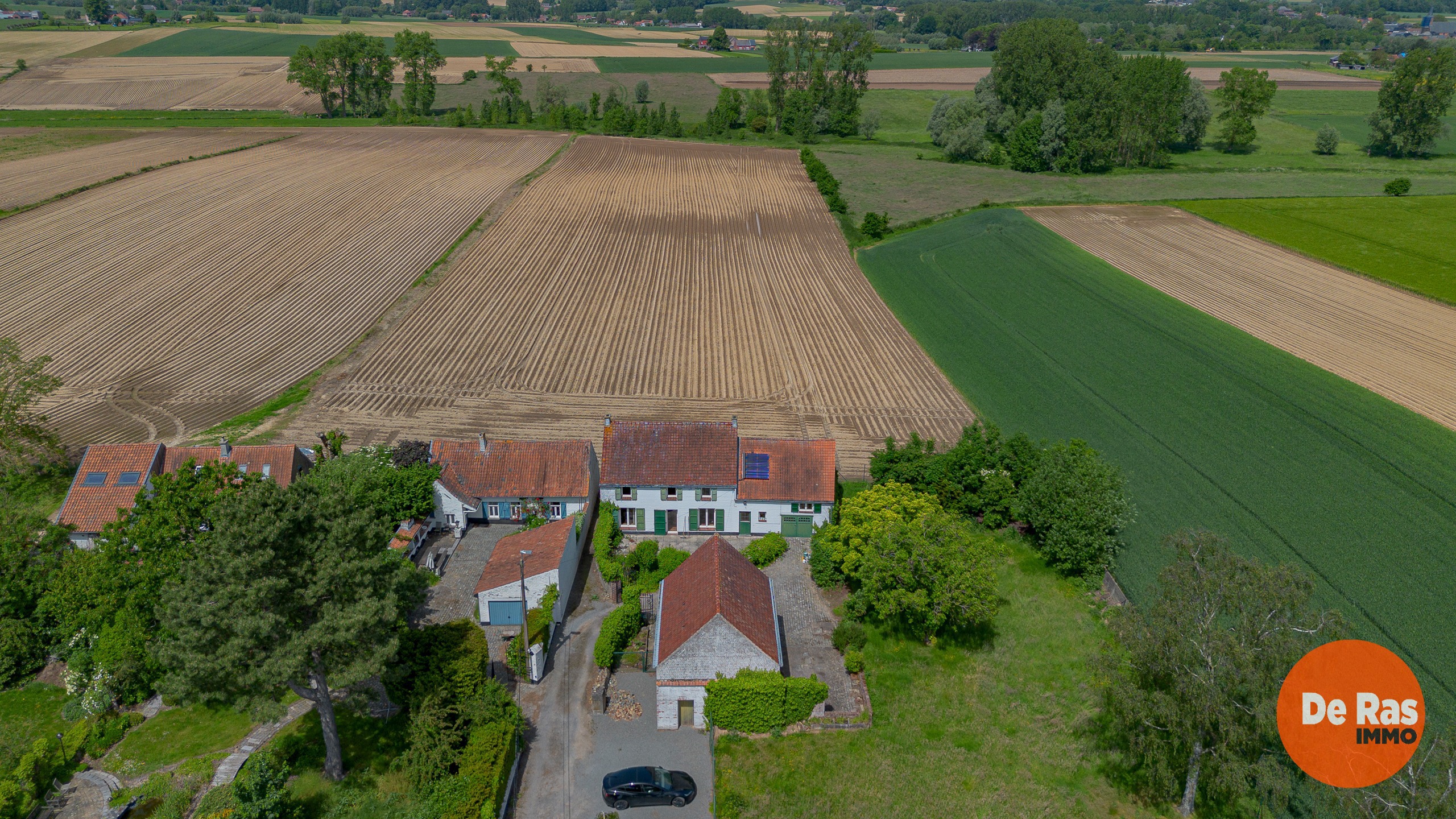 Maison à vendre à Brakel avec 5 chambres - photo 4