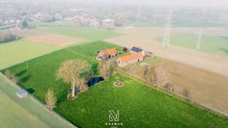 Via een karaktervolle dreef, omzoomd door statige bomen, bereikt u deze uitzonderlijke erfgoedhoeve, prachtig gelegen te midden van uitgestrekte velden en natuur. Een zeldzame opportuniteit voor wie op zoek is naar een plek met ziel en geschiedenis.<br />De hoeve is opgebouwd rond een open binnenplaats en omvat de zuidelijk gerichte hoofdwoning met meerdere bijgebouwen, harmonieus ingeplant in het groen. De robuuste bakstenen constructies, de typische dakpannen en de landelijke architectuur zorgen voor een tijdloos en sfeervol geheel. Aanpalend bevinden zich diverse bijgebouwen, stille getuigen van het ambachtelijke verleden van deze site.<br />Binnenin biedt de te renoveren woning een functionele indeling met op het gelijkvloers een inkomhal die toegang geeft tot de zit- en leefruimte met open zicht op de binnenplaats, een keuken, twee kelders en twee polyvalente ruimtes die naar wens kunnen worden ingericht. De “volte kamers” benadrukken het authentieke karakter van de woning. Op de verdieping bevindt zich een ruime open zolder met grote mazouttank, aangevuld met twee kamers en twee trappen die zorgen voor een praktische verbinding met het gelijkvloers.<br />Deze eigendom maakt deel uit van het bouwkundig erfgoed en kent een rijke geschiedenis als voormalige openlucht steenbakkerij. Dit verleden verklaart de uitzonderlijk hoge gebouwen opgetrokken uit ‘eigen’ bakstenen alsook de specifieke landschappelijke kenmerken, zoals de lager gelegen gronden en het aanwezige waterreservoir(vijver). De hoge bijgebouwen met dubbele bouwlaag versterken bovendien het potentieel voor diverse invullingen. De eerste strook landbouwgrond (momenteel maïsland), gelegen tussen de schuur en de straat, kan afzonderlijk worden bijgekocht.<br />De hoeve wordt momenteel verwarmd op mazout. De riolering verloopt richting de omliggende weilanden.<br />Wenst u een bezoek ter plaatse of info betreft de eventuele herbestemming? Neem vrijblijvend contact op met maggie@vastgoednorman.be of 0479402404.