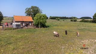 Welkom in de Stokstraat te Houthulst, waar rust, ruimte en natuur samenkomen. Deze karaktervolle hoeve is gelegen op een uitgestrekt perceel van...
