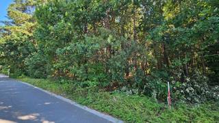 Zeer rustig en residentieel gelegen bouwgrond voor open bebouwing met aanpalend bos.<br />Gunstig gelegen op wandelafstand van het centrum en school, en vlak bij de grens met Keerbergen.<br />Oppervlakte: 45 are 52 ca waarvan 11 are 46 ca bouwgrond en 34 are 06 ca bos.<br />Het perceel is tevens bereikbaar langs de achterkant via een straatje.<br />Breedte: circa 23 meter - diepte circa 177 meter.<br />Oriëntatie: zuiden langs rechterkant<br />Adres: Tremelo, VillaSTRAAT (46 B).<br />Stedenbouwkundige vastgoedinfo in aanvraag (bouwgrond in woongebied - bos in natuurgebied en zeer klein deel in verblijfsrecreatie - niet gelegen in verkavelingsvergunning - geen voorkooprecht ruimtelijke ordening - geen maatregelen in het Vlaams handhavingsplatform.<br />Geen risicozone voor overstromingen - perceelscore A.