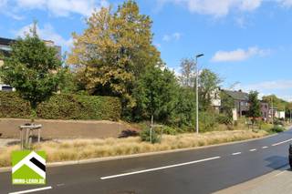 Dans la rue Blaarstraat à Tongres, juste après l'ancienne caserne et à proximité de la réserve naturelle De Kevie, se trouve ce beau terrain à bâtir.<br /><br />La superficie est de 20a 02ca (2 002m²) avec une largeur de 22,83 mètres le long de la rue et une profondeur de plus de 140 mètres.<br />Idéal pour les acheteurs avec des doigts verts pour un beau jardin ou même pour un pré avec quelques animaux.<br /><br />Le terrain est admissible à une construction ouverte ;<br />la maison peut avoir une largeur maximale de 12,50 mètres,<br />la profondeur de construction au rez-de-chaussée est maximale de 15 mètres et de 10 mètres pour l'étage.<br />La forme du toit doit être en pente.<br /><br />Un garage souterrain est autorisé.<br />Des dépendances détachées sont possibles jusqu'à 40m².<br /><br />Il n'y a pas d'obligation de construire pour ce terrain à bâtir.<br /><br />PLUS D'INFORMATIONS ? Prenez rendez-vous par téléphone au 012 23 00 23 ou envoyez vos questions par e-mail à roland@immo-leroi.be.