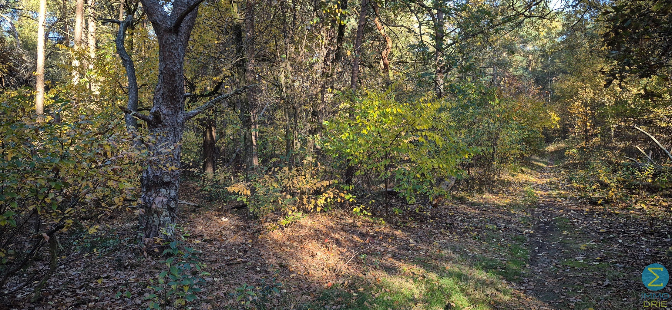 Perceel grond gelegen in recreatiegebied - foto 5