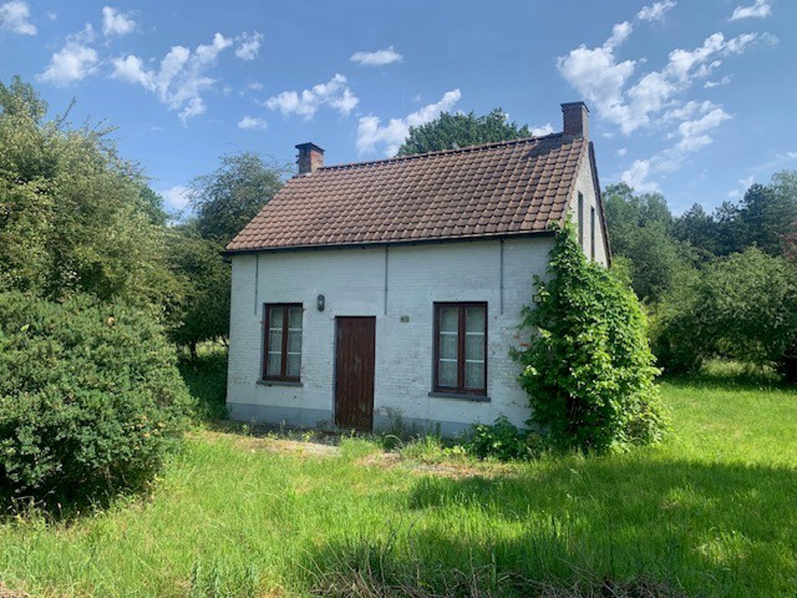 Mooi weekendverblijf op bijna 1 hectare. - foto 4