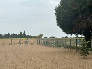 Land for sale in Boutersem