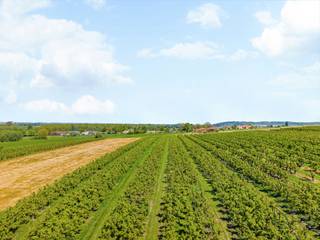 <p>Deze unieke eigendom op 18 hectare, topgelegen op de Kwaremont, biedt enorm veel potentieel en bestaat uit: <br />* prachtige omwalde hoevewoning (in de jaren 70 gerenoveerd door Quakelbeen) met extra schuur,<br />* recente gelijksvloerse bedrijfswoning met mooi aangelegd terras en tuin (prachtig zicht op groen)<br />* grote loods van 2500m2 , dubbele garage, ideale werkplaats<br />* en de prachtige boomgaarden<br /><br />Deze eigendom is een unieke kans te Kwaremont, 18 hectare grond + loods van 2500m2, en 2 woningen (ook ideaal als B&amp;B, vakantiehuis, mooi potentieel wijndomein), en dit op een topligging genietend van alle rust, privacy en prachtige vergezichten.<br /><br />Bezoek na afspraak met Immo Beguin: sophie@immobeguin.be</p>