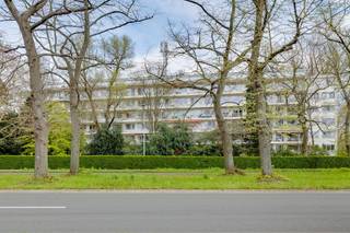 <p><span>Dit gerenoveerde </span><span>appartement te koop</span><span>, gelegen aan de Prins Boudewijnlaan 319 in </span><span>Edegem</span><span>, beschikt over een zonnig zuidwestgericht </span><span>terras</span><span>. Op wandelafstand bevinden zich winkels en openbaar vervoer, en bovendien geniet u van een vlotte bereikbaarheid via de nabijgelegen invalswegen (A12 en E19). </span></p><p><span> </span></p><p><span>Indeling</span></p><p><span>- gelegen op de derde verdieping</span></p><p><span>- inkomhal</span></p><p><span>- open ingerichte keuken</span></p><p><span>- woonkamer</span></p><p><span>- badkamer met ligbad en lavabo plus aansluitingen wasmachine en droogkast</span></p><p><span>- aparte toilet</span></p><p><span>- terras</span></p><p><span>- privatieve kelder</span></p><p><span> </span></p><p><span>Algemeen gebouw</span></p><p><span>- fietsenberging</span></p><p><span>- provisie ca. 170 euro per maand </span></p><p><span> </span></p><p><span>Bijzonderheden</span></p><p><span>- aankoop van een garagebox met automatische poort mogelijk mits meerprijs (35.000 euro)</span></p><p><span>- centrale locatie nabij Fort 5 en het domein Hof ter Linden</span></p><p><span>- kelderberging</span></p><p><span>- airco in de woonkamer</span></p><p><span>- Vernieuwde ramen met dubbele beglazing PVC</span></p><p><span> </span></p><p><span>Ben jij geïnteresseerd in dit appartement te koop in Edegem, ben je op zoek naar ander vastgoed, een investering of wens je de waarde van jouw eigendom te kennen? Dan ben je bij BOLT immo aan het juiste adres! Wij helpen jou graag verder.</span><span> </span></p><p><span> </span></p>