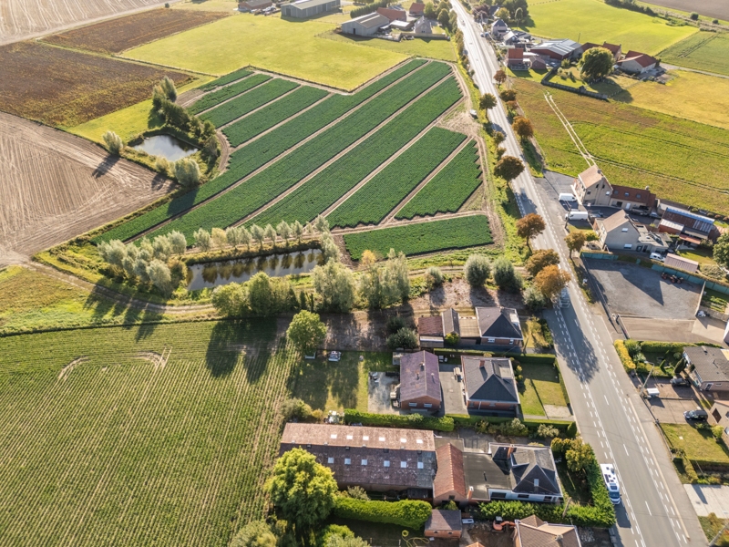 Centrum Sint-Henricus :  Te renoveren woning op 1876 m² - foto 2