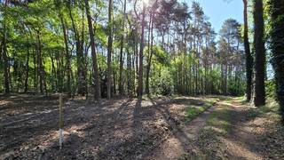 Rustig en residentieel gelegen bouwgrond van 31a27ca met aanpalende bosgrond van 37a68ca. Gelegen op het einde van een zijtak van de...